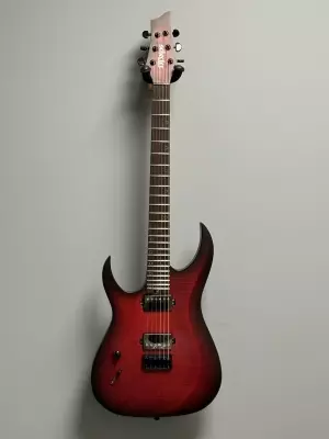 Schecter - 2576-SHC